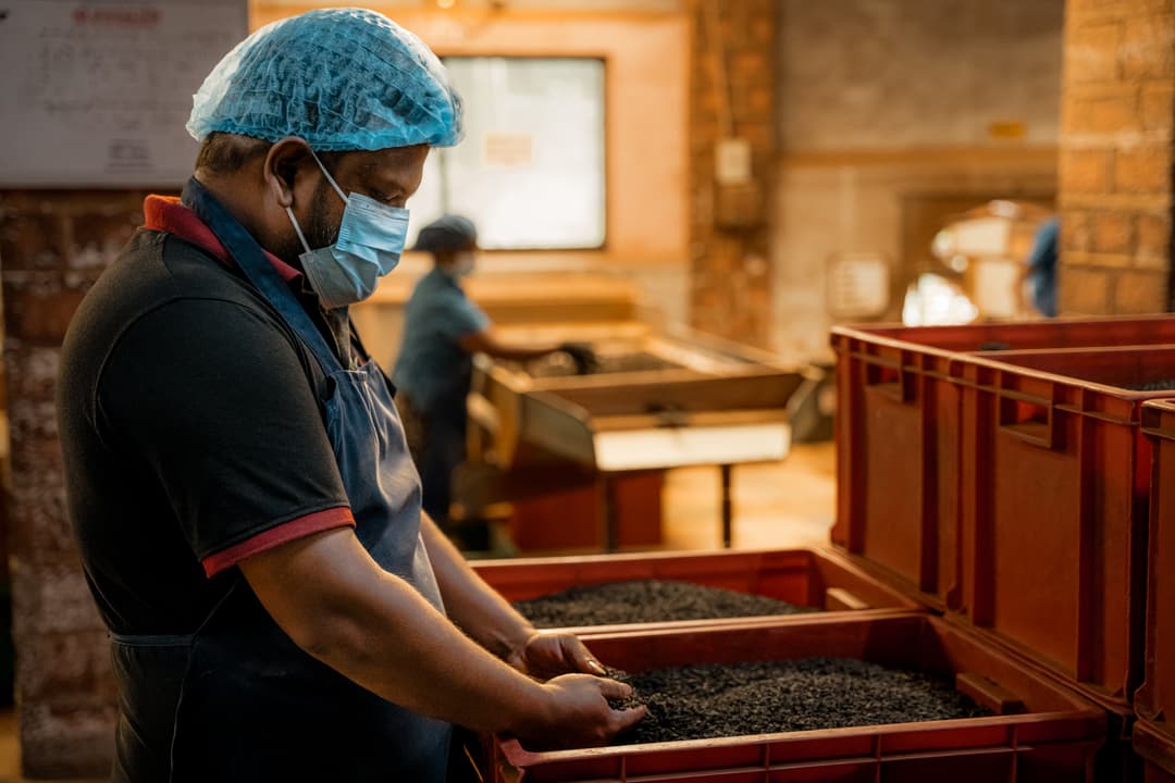 Panilkhanda Commercial Video Shoot